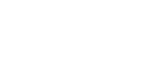 Assist Airport